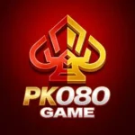 PK080 Game