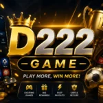 D222 Game