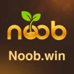 NoobWin