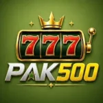 PK500 Game