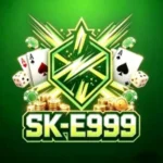 E999 Game